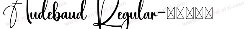 Audebaud Regular字体转换